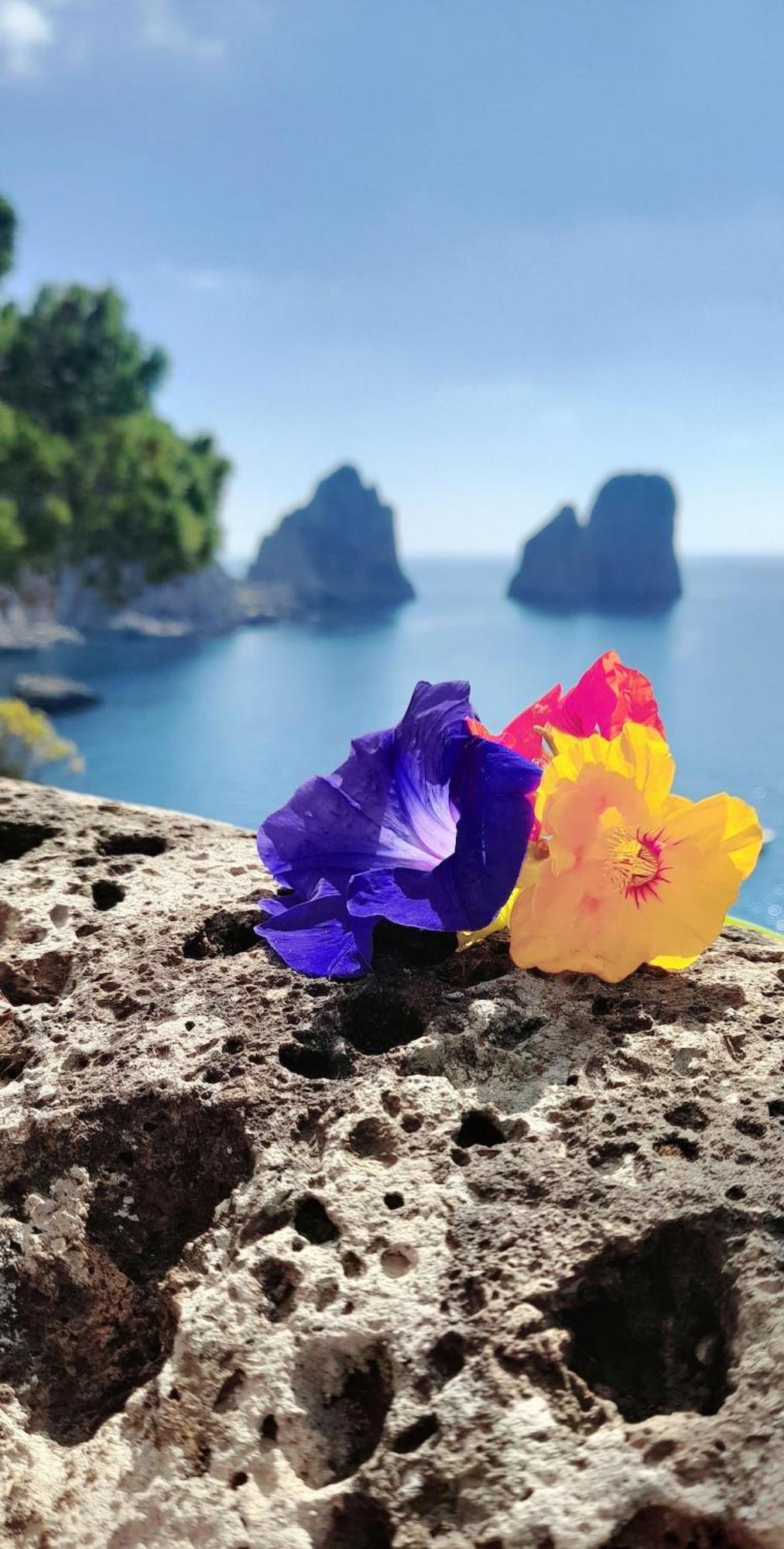 Villetta Rosetta Capri Exterior foto