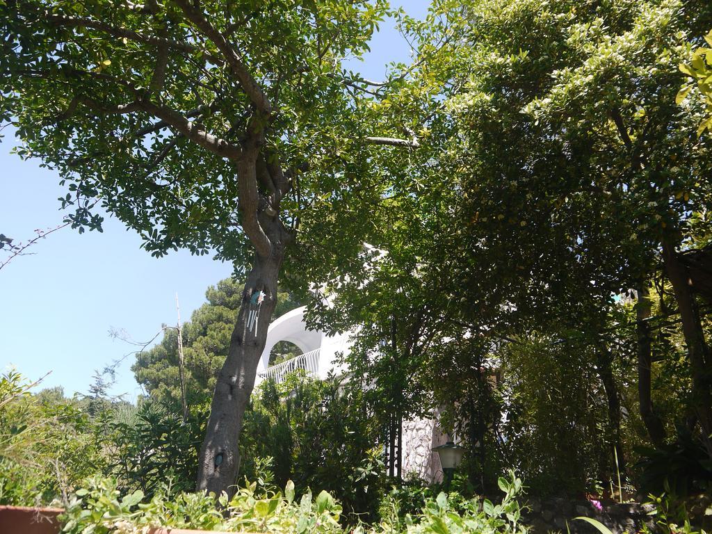 Villetta Rosetta Capri Exterior foto