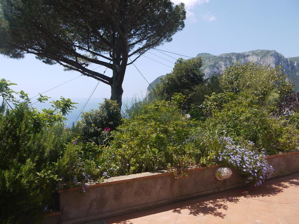 Villetta Rosetta Capri Exterior foto
