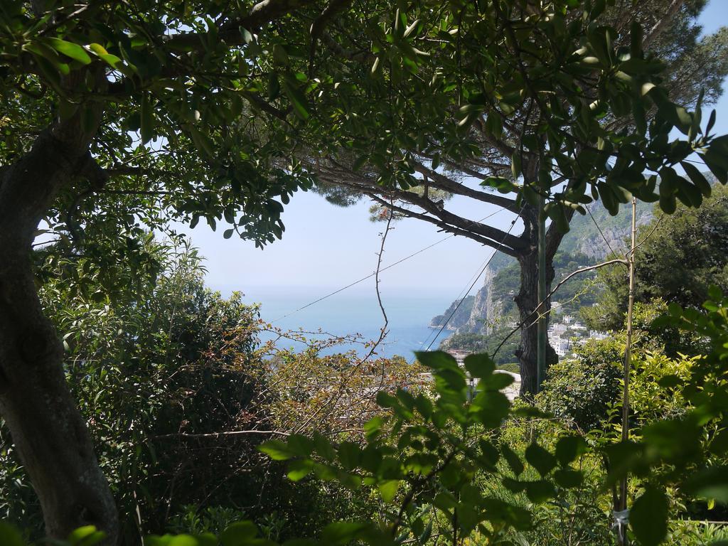 Villetta Rosetta Capri Exterior foto